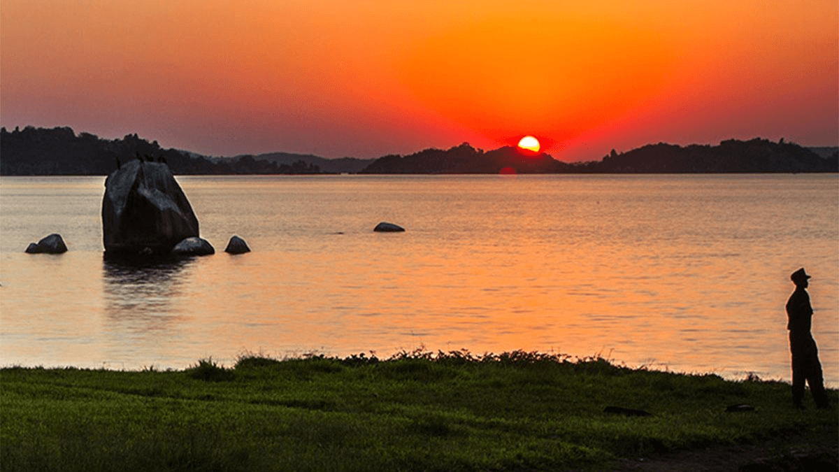 Arabuko Sokoke Forest – Coastal Biodiversity