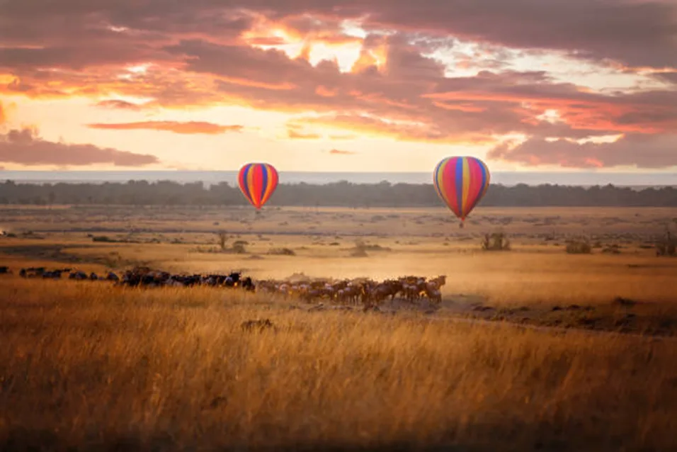 The Best 10 Holiday Destinations for Christmas and New Year in Kenya 4 image 67