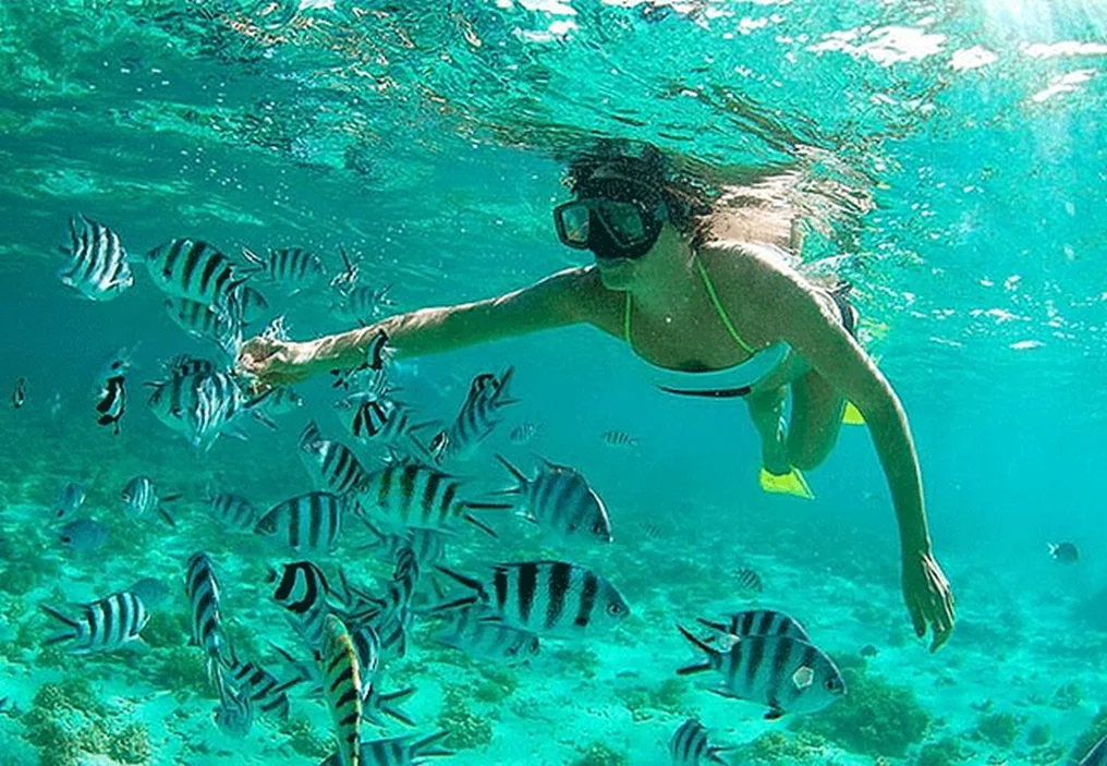 The Best 10 Holiday Destinations for Christmas and New Year in Kenya 6 image 69