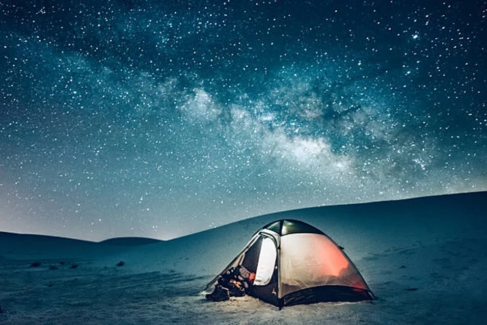 The Best 10 Holiday Destinations for Christmas and New Year in Kenya 7 image 70