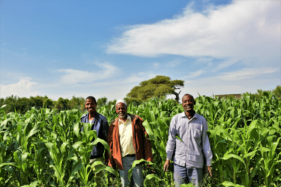 Rift Valley’s Agriculture Reforms: Enhancing Food Security through Land Use, Irrigation, and Farmer Support