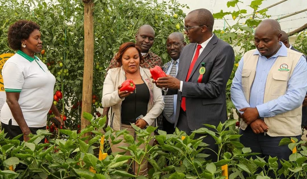 Nakuru Leads in Agriculture Innovation: A Technological Revolution in Farming