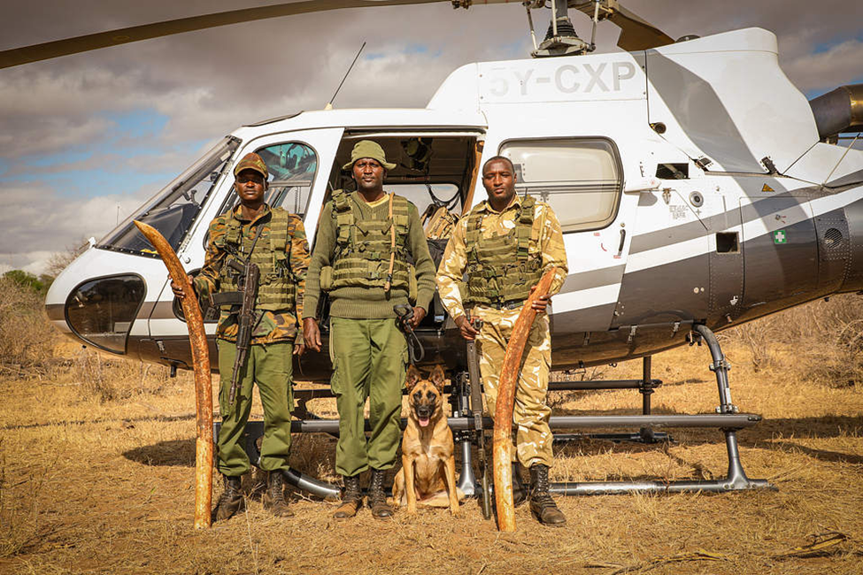 Exploring the Lives of Kenya’s Wildlife Rangers: The Heroes Behind Conservation