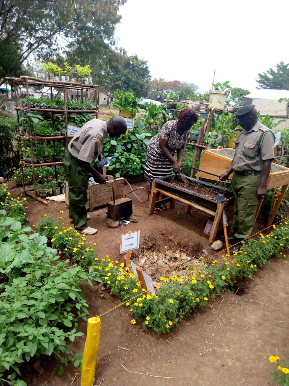 Kenya’s Urban Farming Movement: Feeding Cities Sustainably