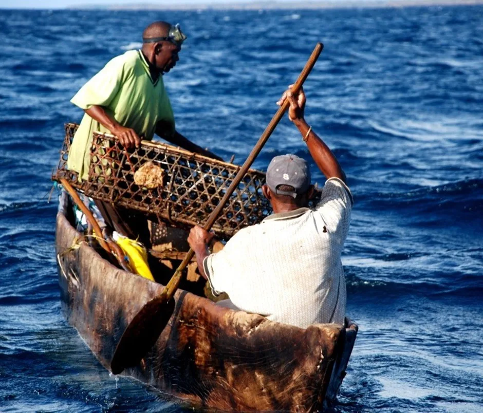 The Role of Artisanal Fishing in Kenya’s Coastal Economy 2 image 196