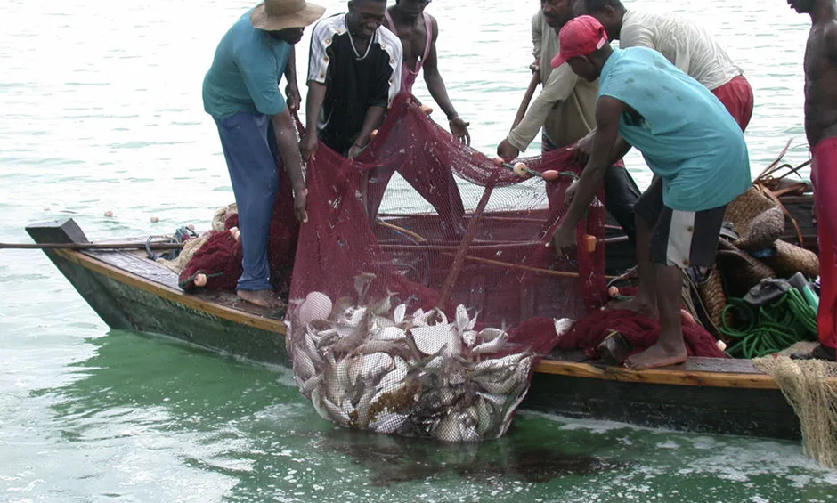 The Role of Artisanal Fishing in Kenya’s Coastal Economy 4 image 197
