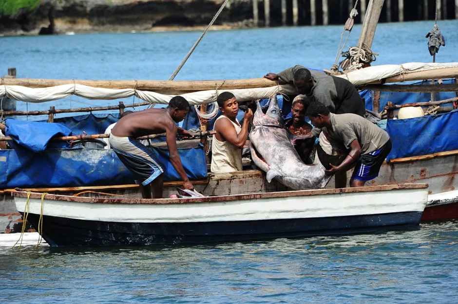 The Role of Artisanal Fishing in Kenya’s Coastal Economy 6 image 200