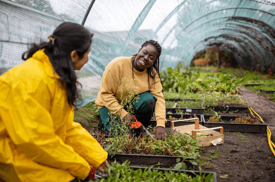 Kenya’s Agriculture: The Need for More Investment in Value-Added Products in 2025