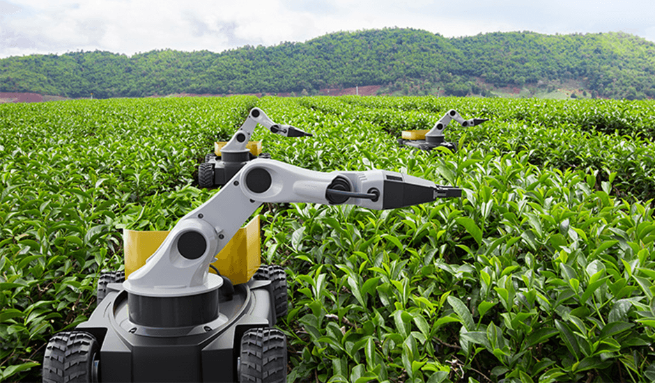 Leveraging Machine Learning to Improve Kenya's Agricultural Yield in 2025 2 image 441