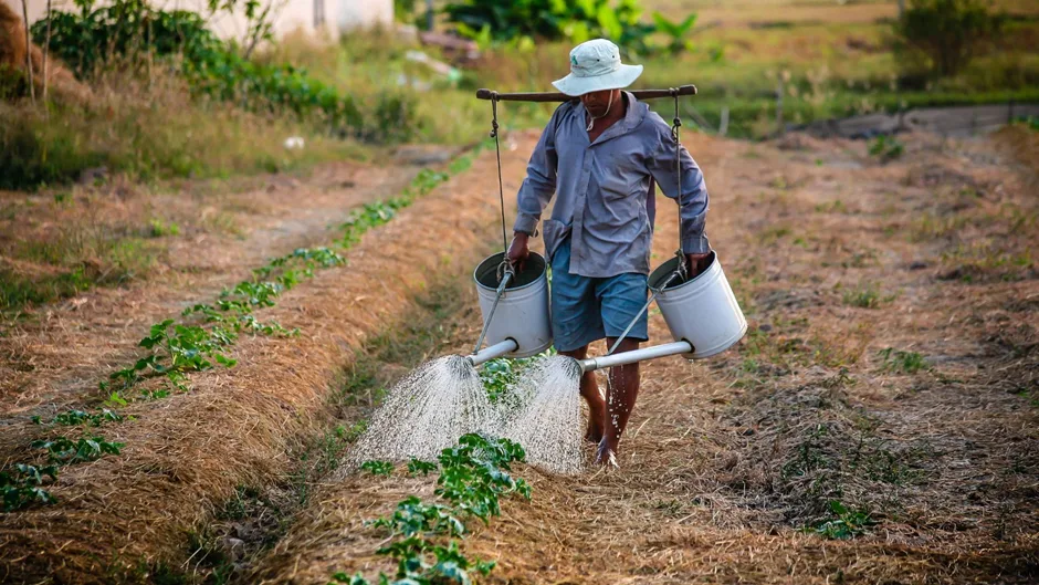 How Kenyans Are Adopting Sustainable Living Practices in 2025 5 image 650