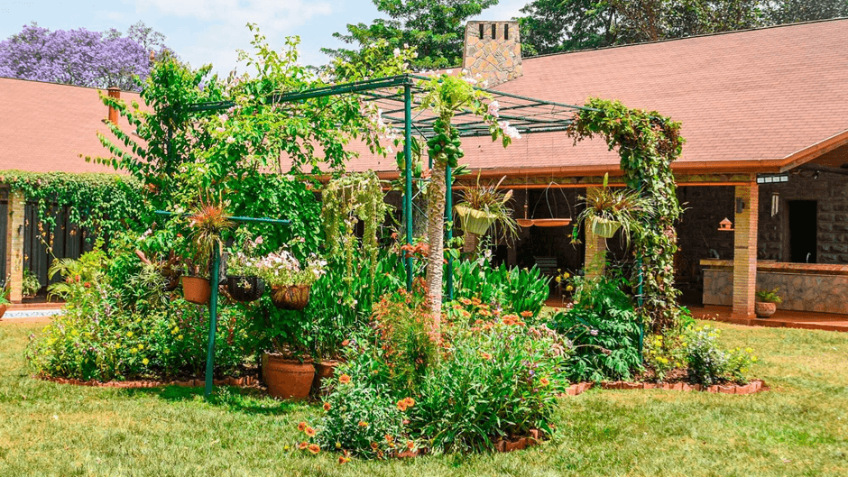 How Gardening is Becoming a Lifestyle Trend Among Urban Kenyans in 2025