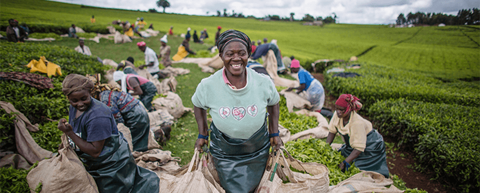 The Evolution of Kenya’s Agricultural Export Sector: New Markets and Trends