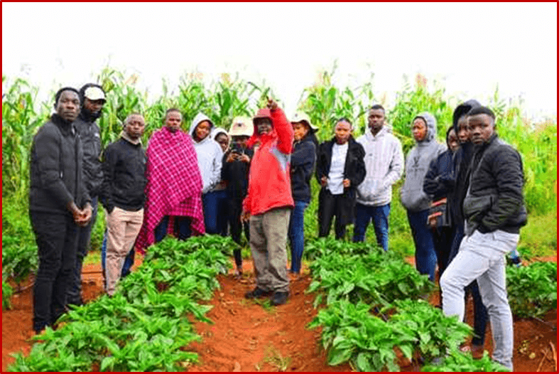 How to Ensure Food Security for Kenya’s Growing Population