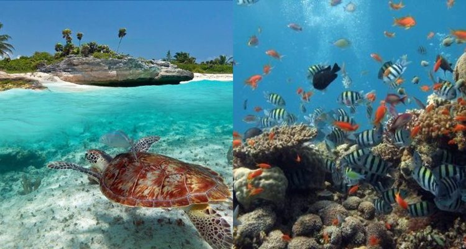 The Most Photogenic Spots in Kenya for Instagram Lovers 5 image 144