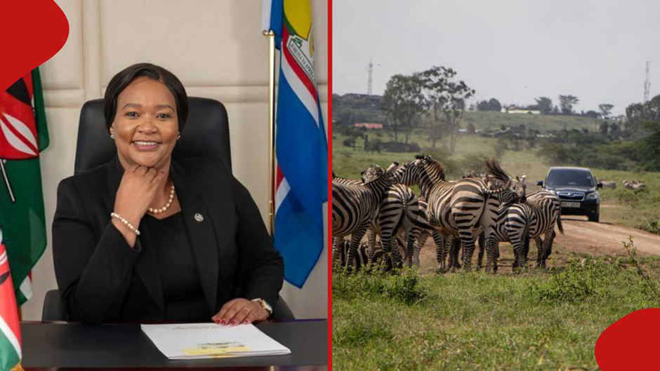 Kenya’s Most Googled Political Figures in 2025: What It Reveals About the Nation’s Interests and Concerns 4 image 67